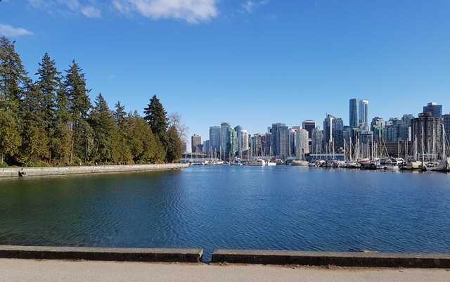 Skyline af Vancouver med træer til venstre, højhuse til højre og en sø i forgrunden