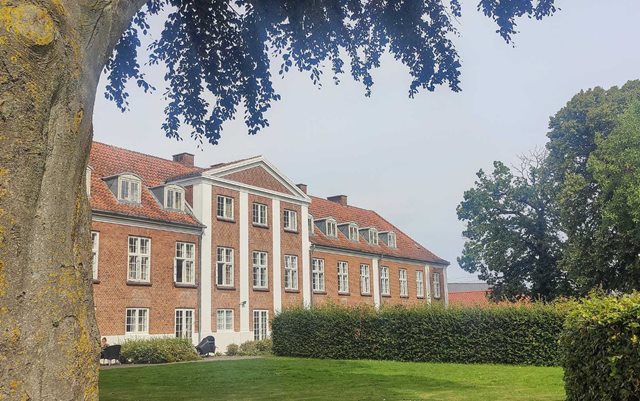 Det gamle sygehus i Middelfart set fra parken med et stort egetræ i forgrunden