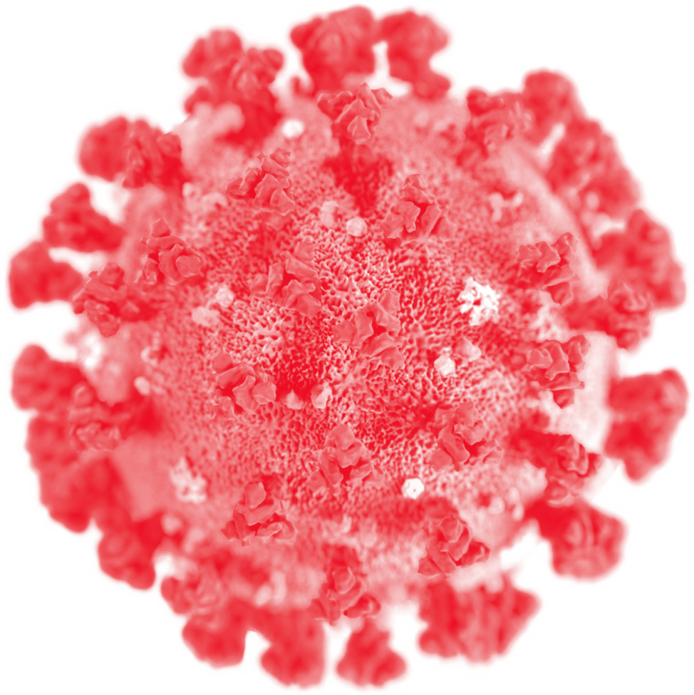 Coronavirus set igennem et mikroskop. Det ligner en lille rød bold med en masse runde pigge på overfladen.
